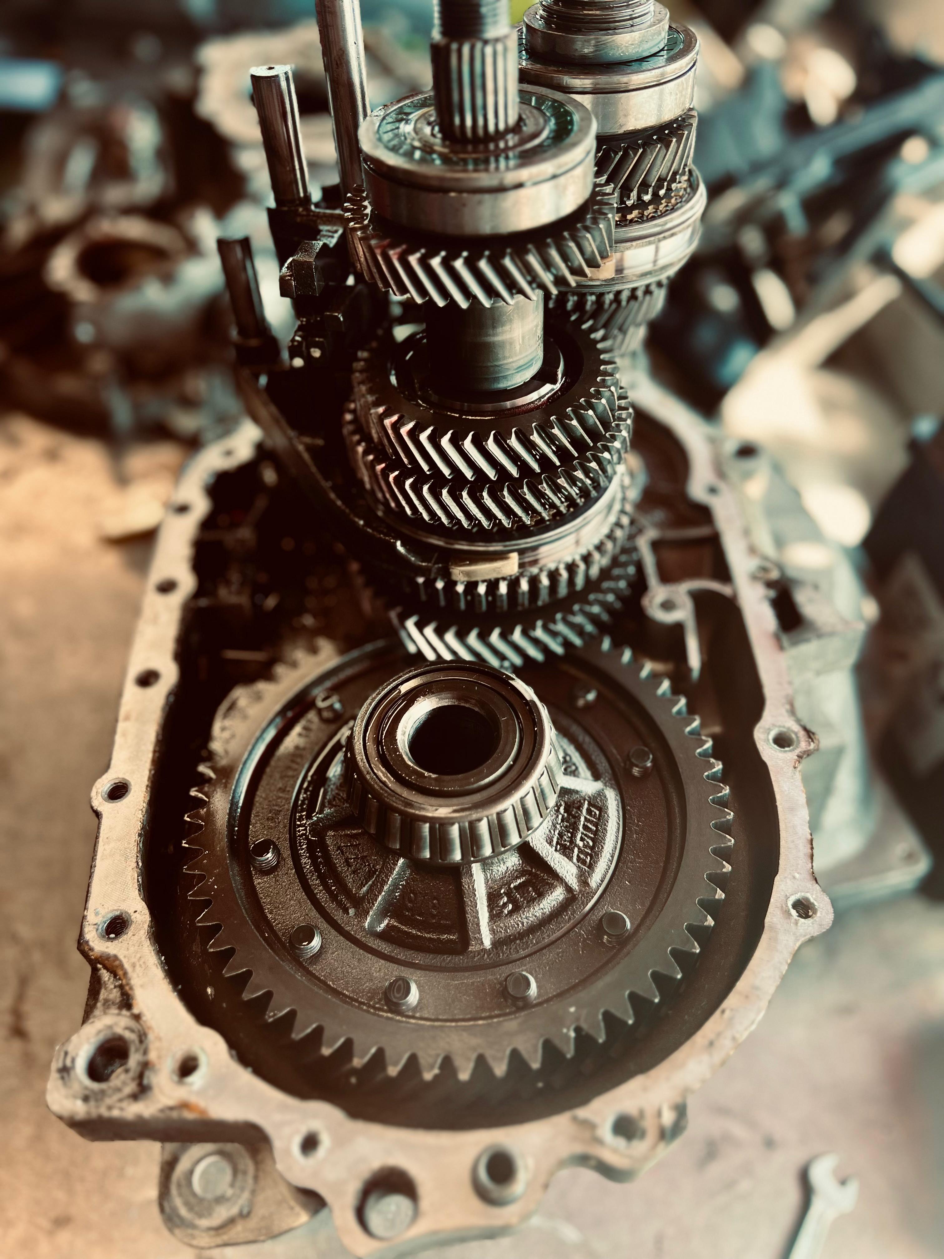 WhatsApp Image 2025-10-26 à 13.35.12_f6a97e49